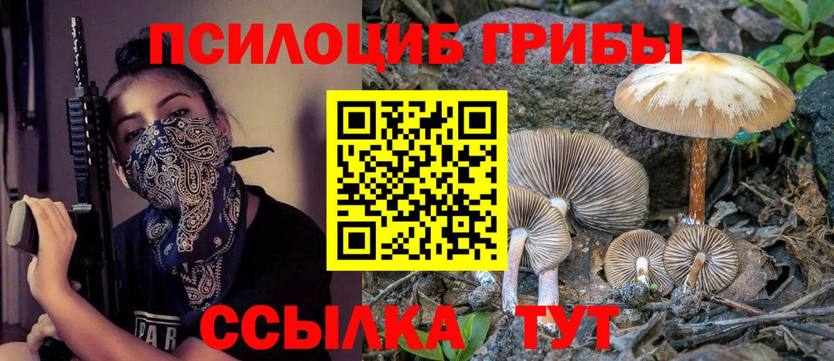 Кемерово  Псилоцибиновые грибы прущие грибы  Псилоцибиновые грибы MAGIC MUSHROOMS  Вход с VPN 